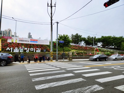 서울장미길시작