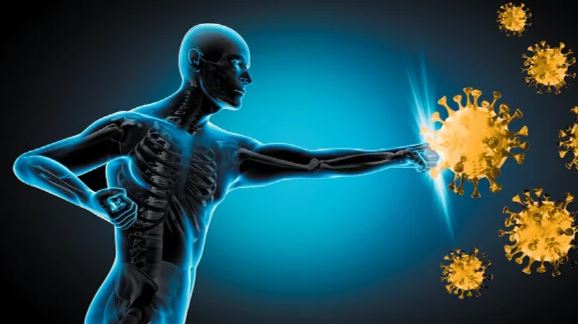 면역력 높이는 아침 습관 (아침습관, 건강루틴, 아침식사)