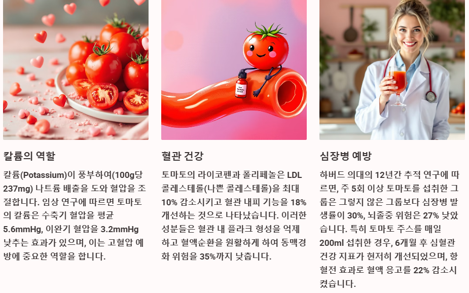 심혈관 건강개선 혈압조절