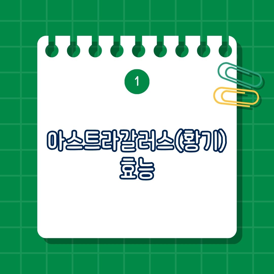 아스트라갈러스(Astragalus, 황기) 효능, 장점은 면역력 강화, 항산화 작용 및 노화 방지, 심혈관 건강 개선, 피로 회복 및 체력 증진, 항암 효과, 혈당 조절, 신장 보호 효과