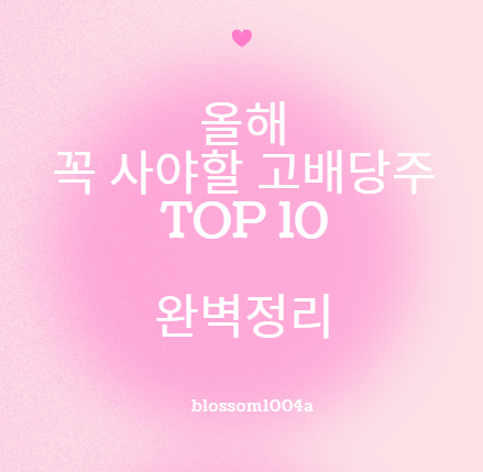올해 꼭 사야할 국내주식 고배당주 TOP10 (1편)