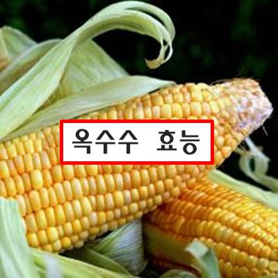 옥수수 효능 부작용