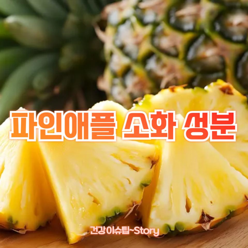 파인애플 소화 성분