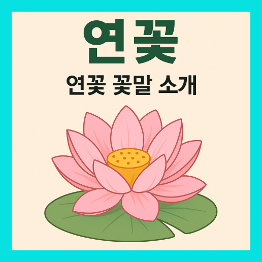 연꽃 꽃말 (+색깔별 뜻)