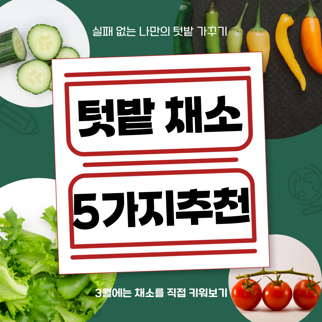 텃밭 채소 키우기 추천 5가지