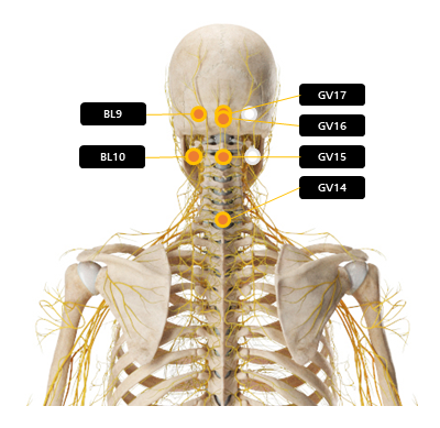 목 주변 혈자리 요약