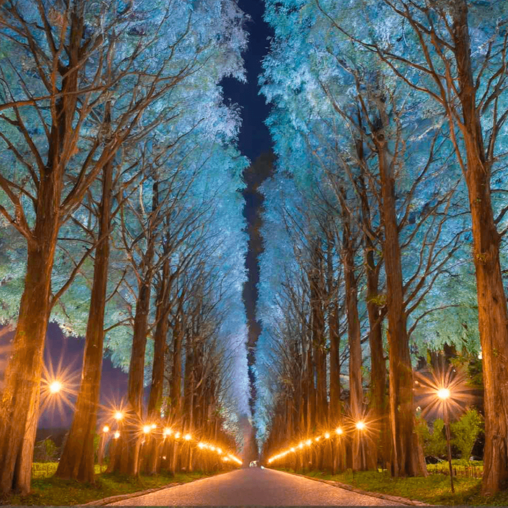 제주도 대정읍 고급주택 타운하우스 제로 에비뉴 분양