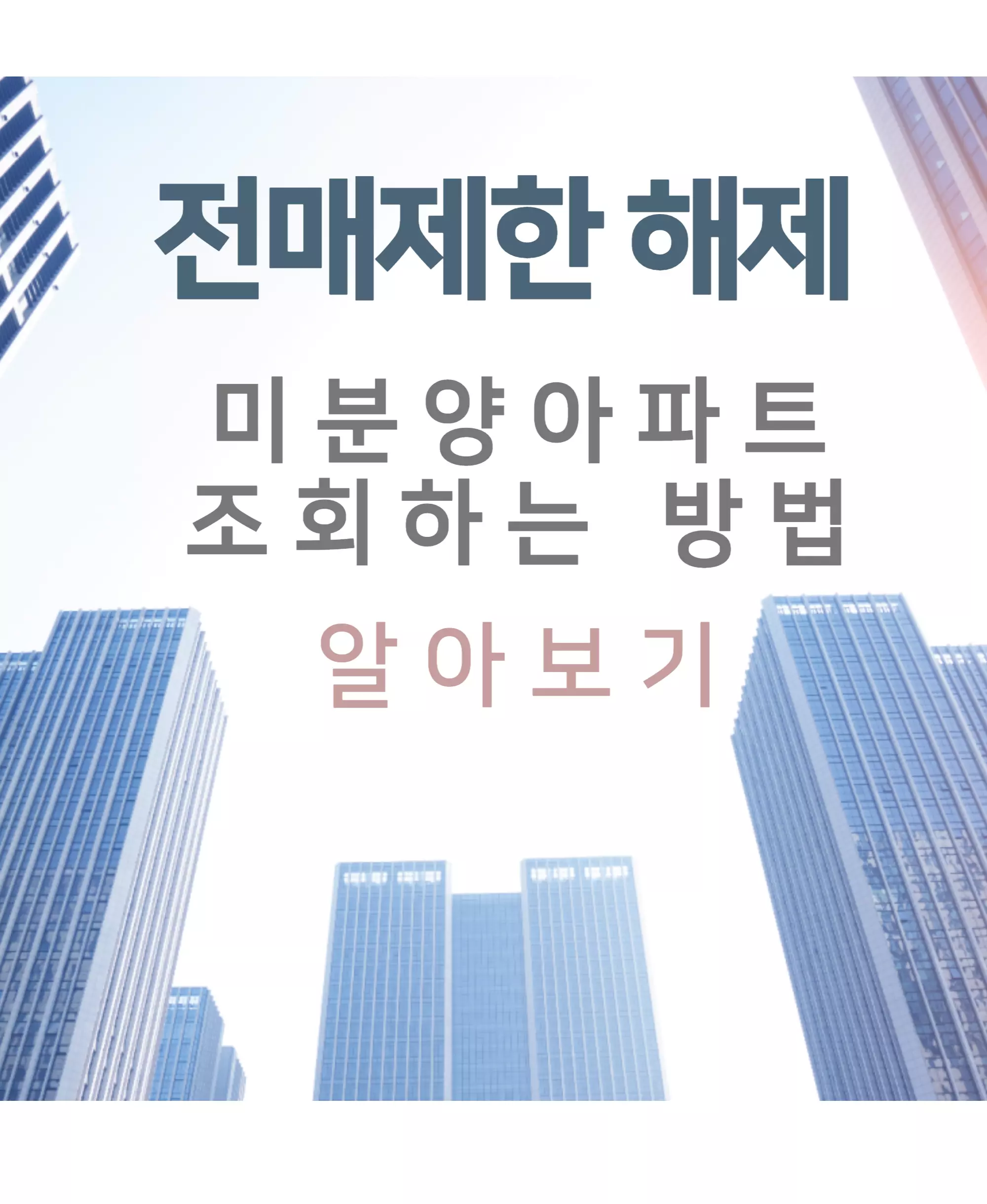 전매제한 해제