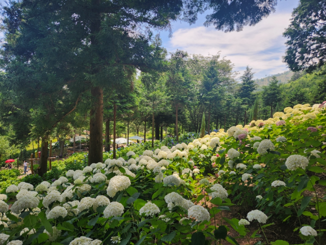 보성 1인 가구 월세 최적 가격대 분석&mdash; 실제 지출 패턴 기준으로 계산한 &lsquo;보성 1인 가구 월세 적정선&rsquo;