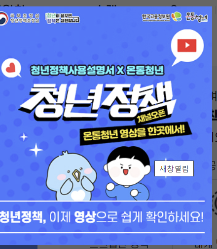 청년정책