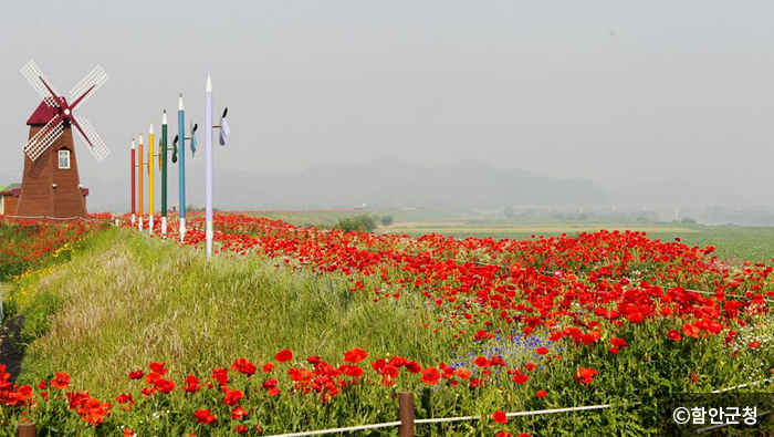 함안-악양둑방길