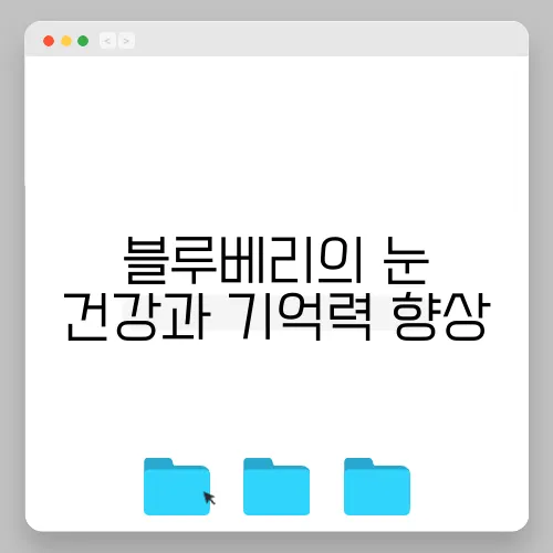블루베리의 눈 건강과 기억력 향상