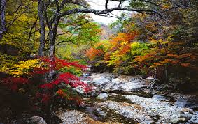 지리산 단풍 축제