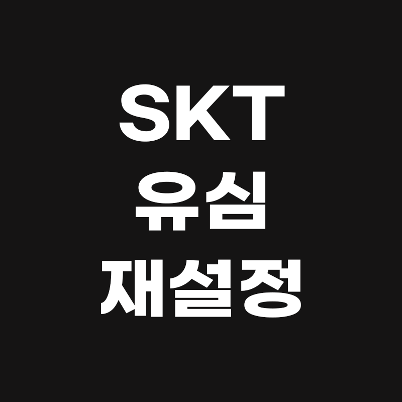 검정색 배경에 SKT 유심 재설정이라고 흰색으로 적혀있는 썸네일