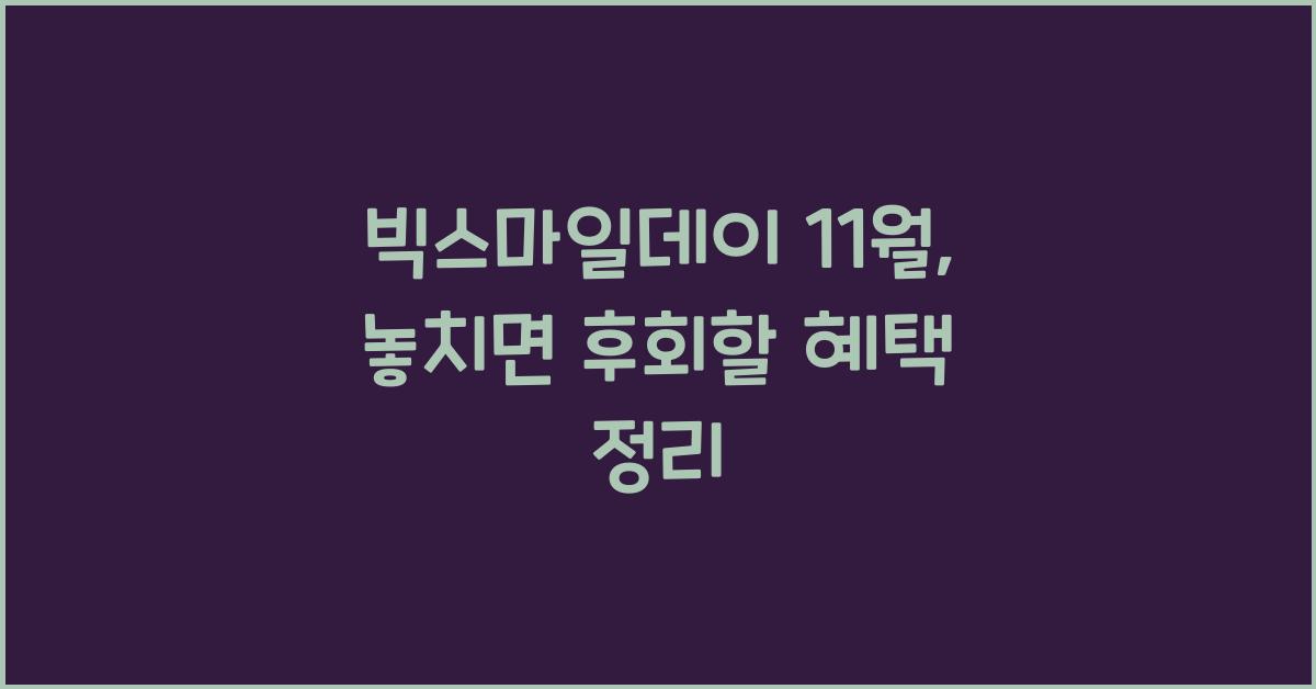 빅스마일데이 11월