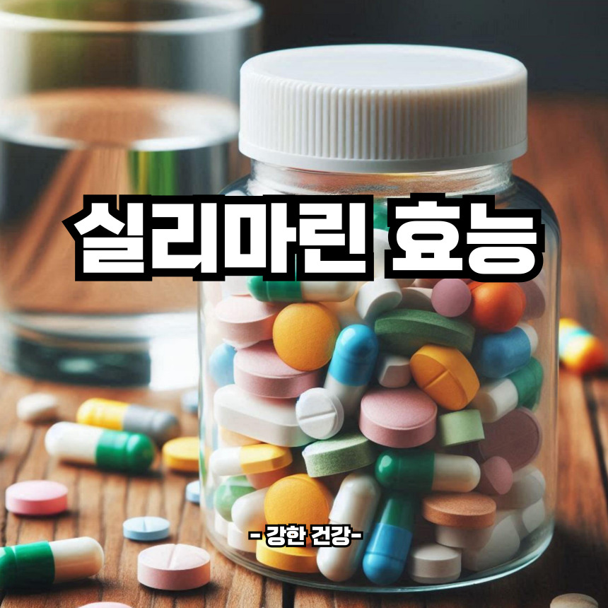 실리마린 효능