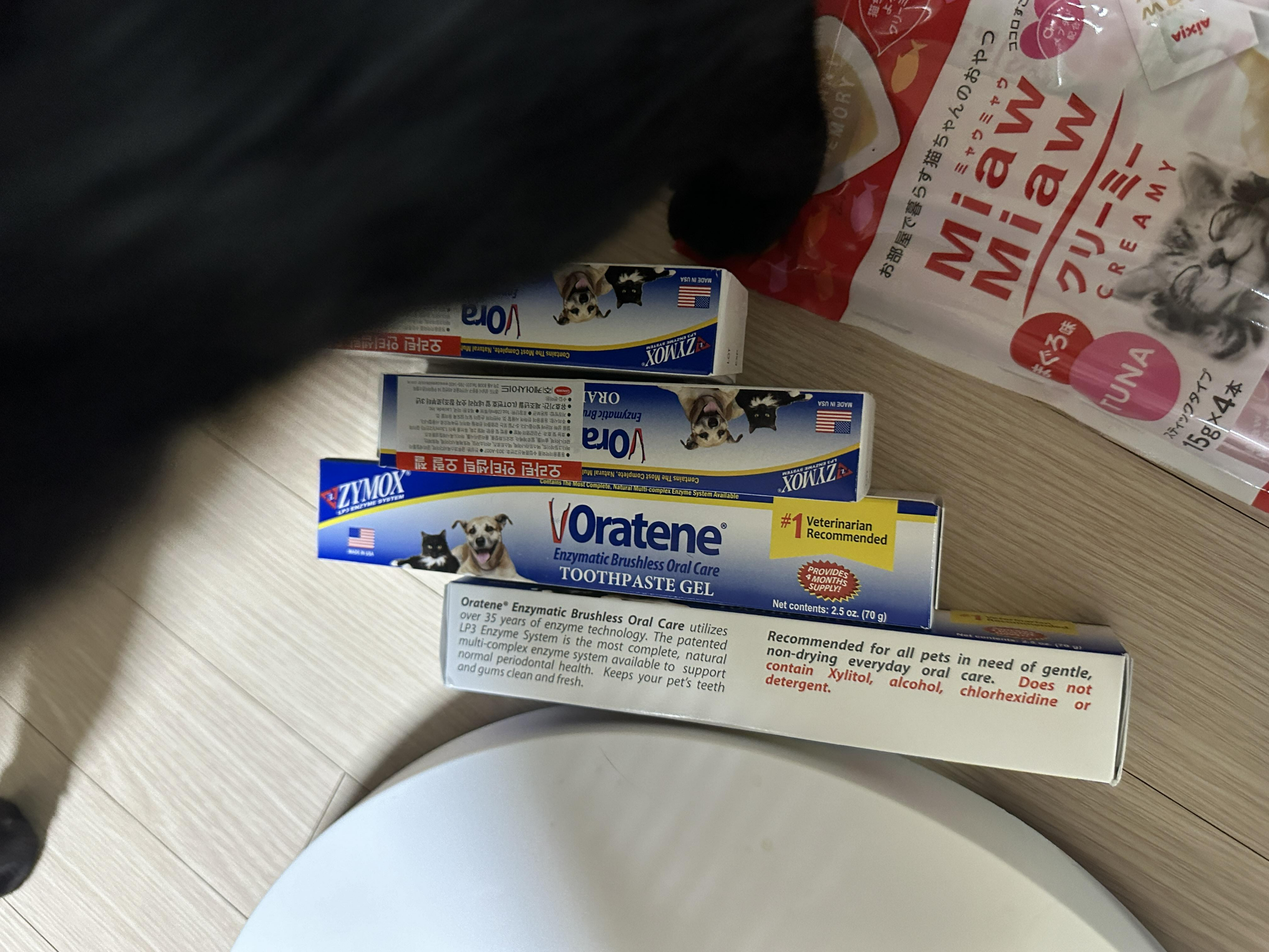 자이목스_메인터넌스_안티셉틱_고양이_바르는_치약