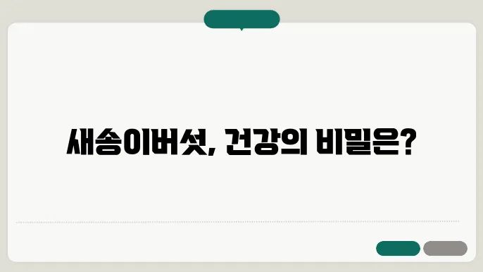 새송이버섯 성분