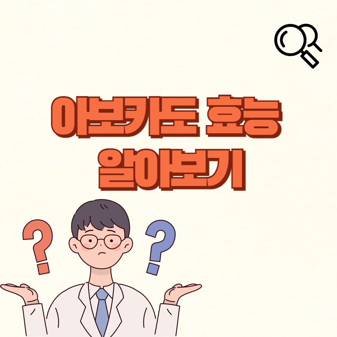 아보카도 효능✅