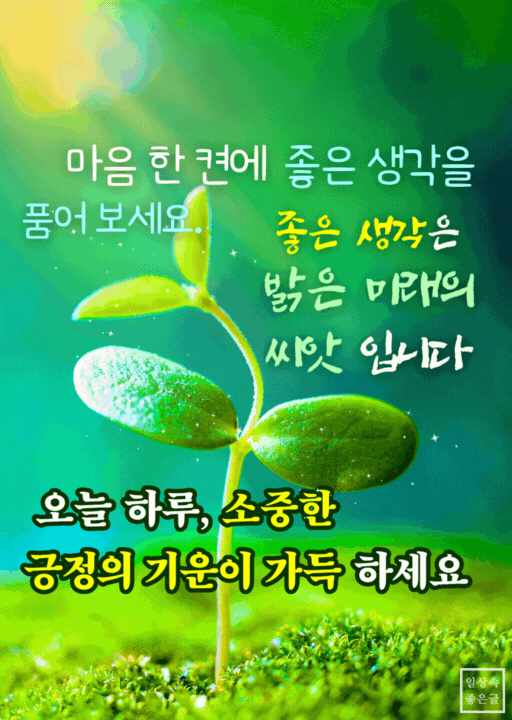 밝은 햇살을 받으며 자라는 새싹의 모습