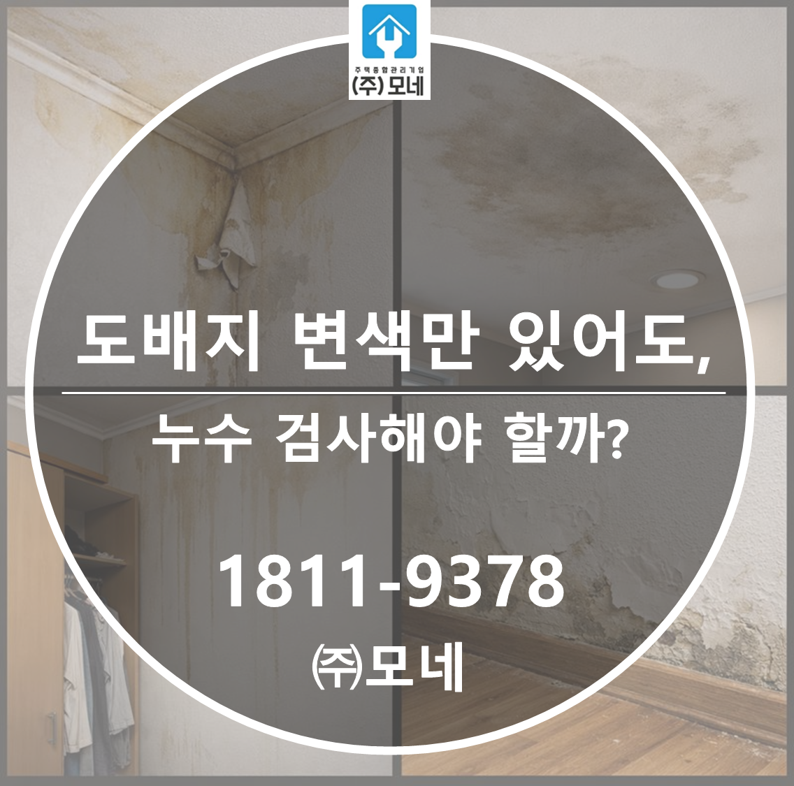 도배지 변색만 있어도 누수 검사해야 할까?