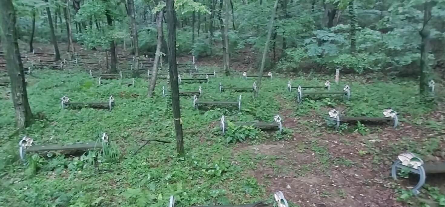 수레의-산-자연휴양림