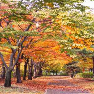 단풍명소-서울가볼만한 곳