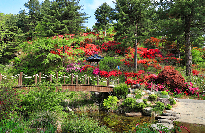 아침고요수목원
