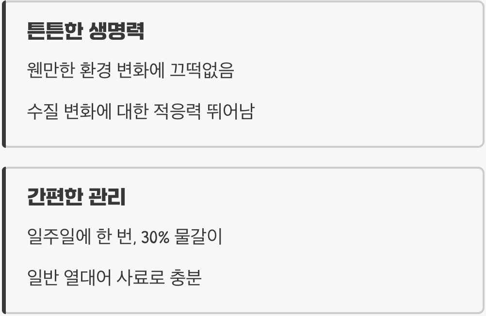 의외로 튼튼한&amp;#44; 초보 집사의 든든한 파트너