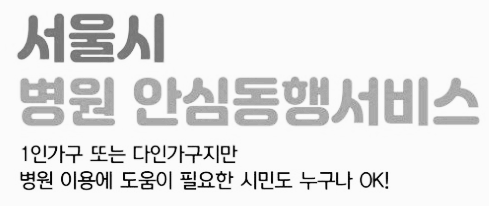 서울시 병원 동행서비스