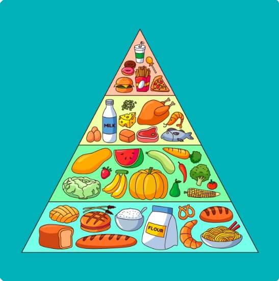 음식별 균형 순서