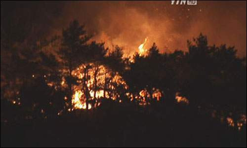 꼬꼬무 봉대산 불다람쥐