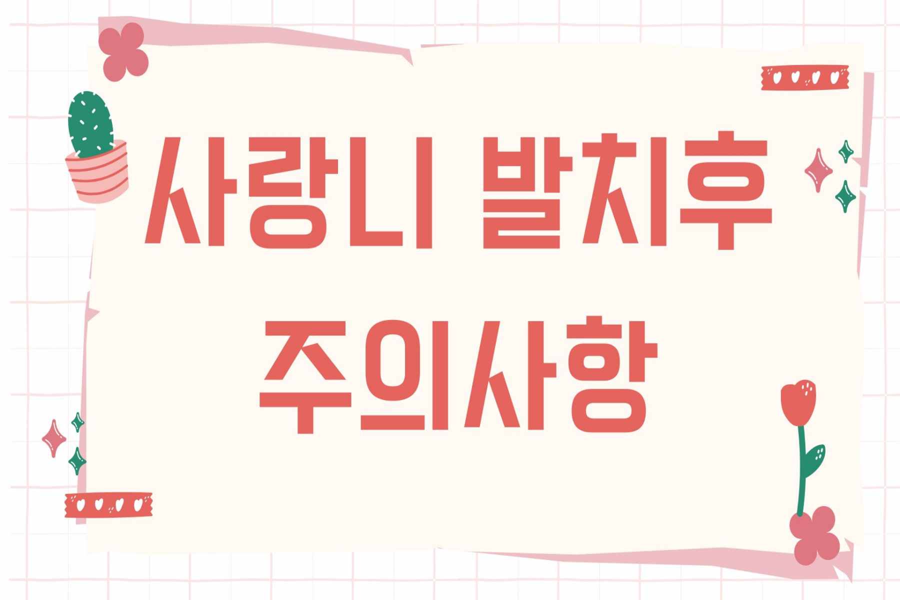 사랑니 발치후 주의사항