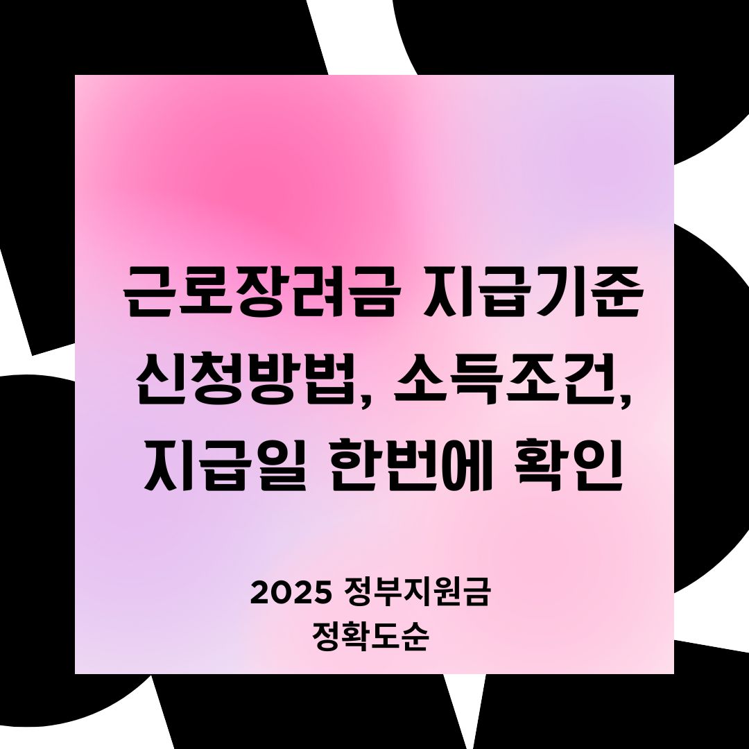 2025년 상반기 정부 지원금