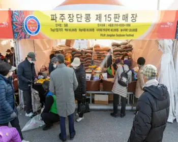 파주 장단콩축제_10