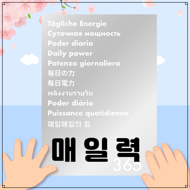 매일력