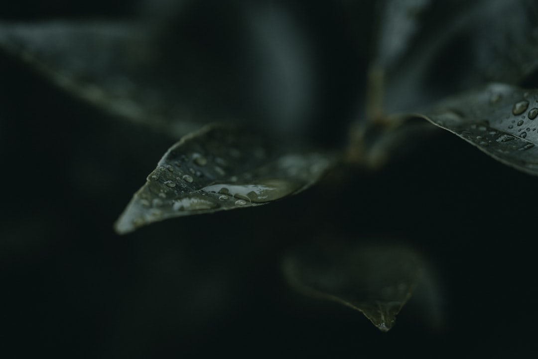 Retention