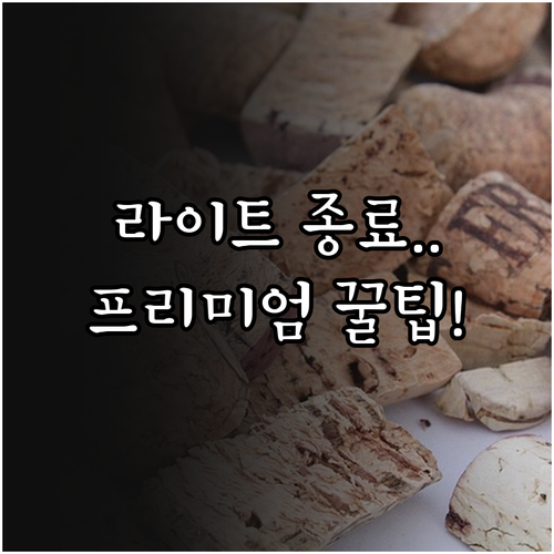 유튜브 라이트 요금제 서비스 종료와 ..
