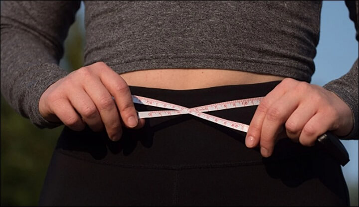 차전자피의-효능-다이어트