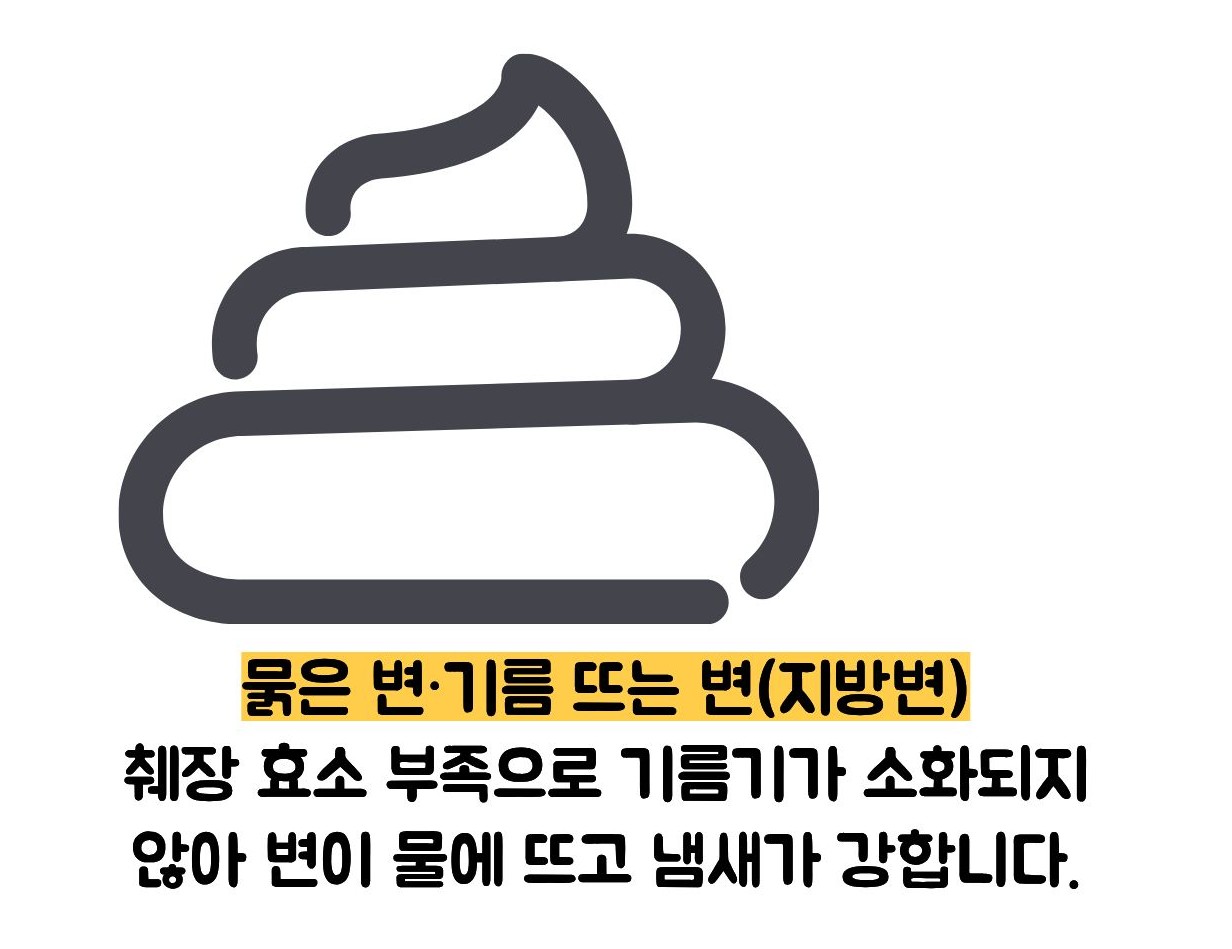 만성 췌장염 증상