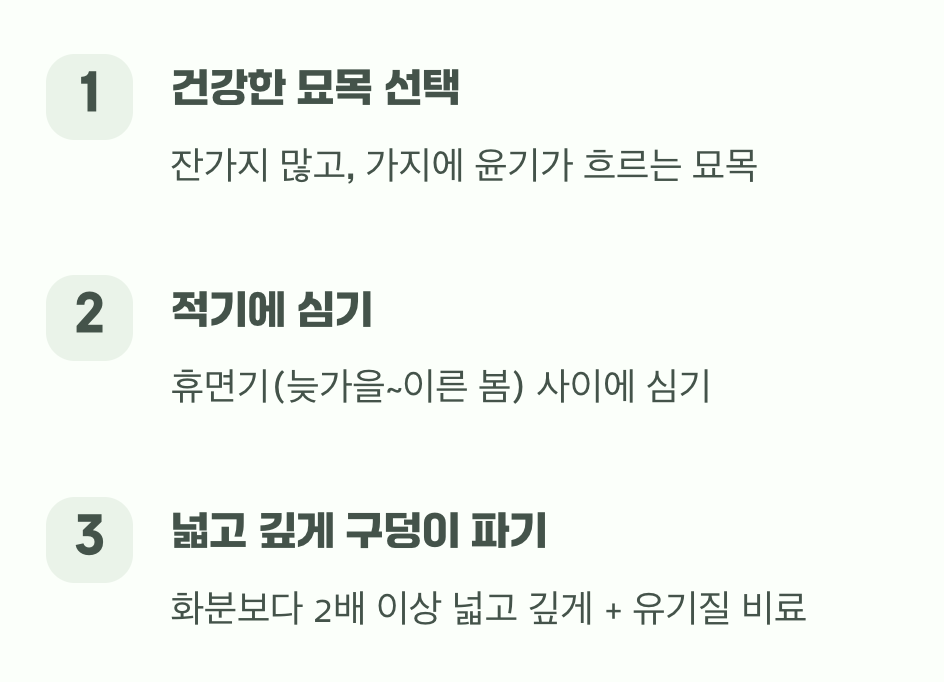 묘목 심기&amp;#44; 첫 만남의 예의