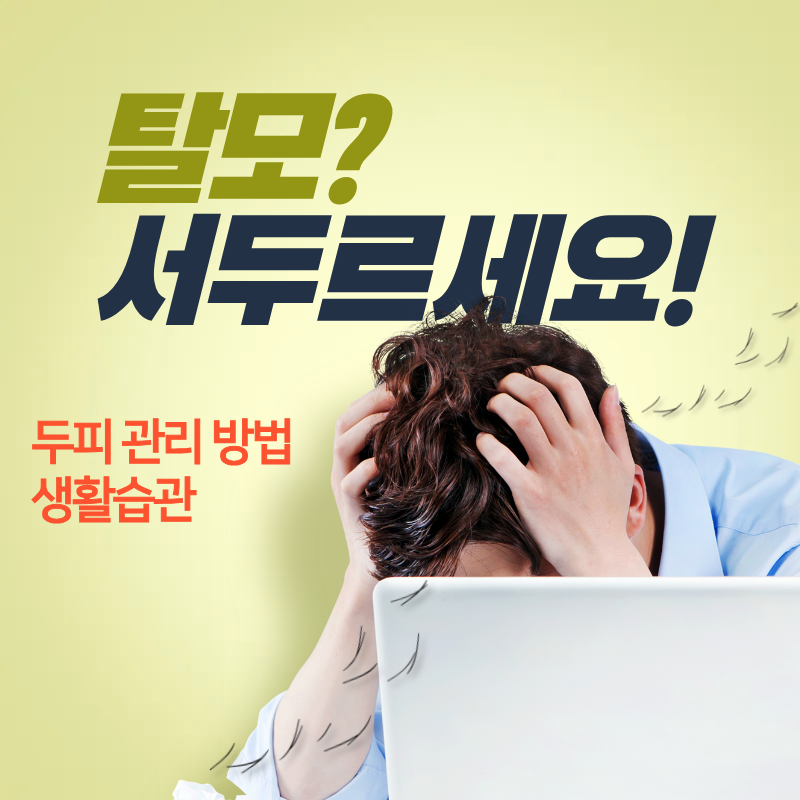 탈모 예방 생활습관과 건강한 두피 관리 방법 알아보기