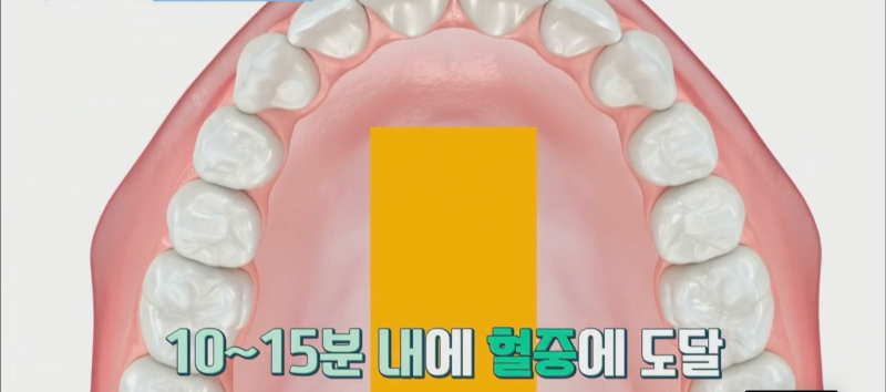 입 천장에 붙여 흡수