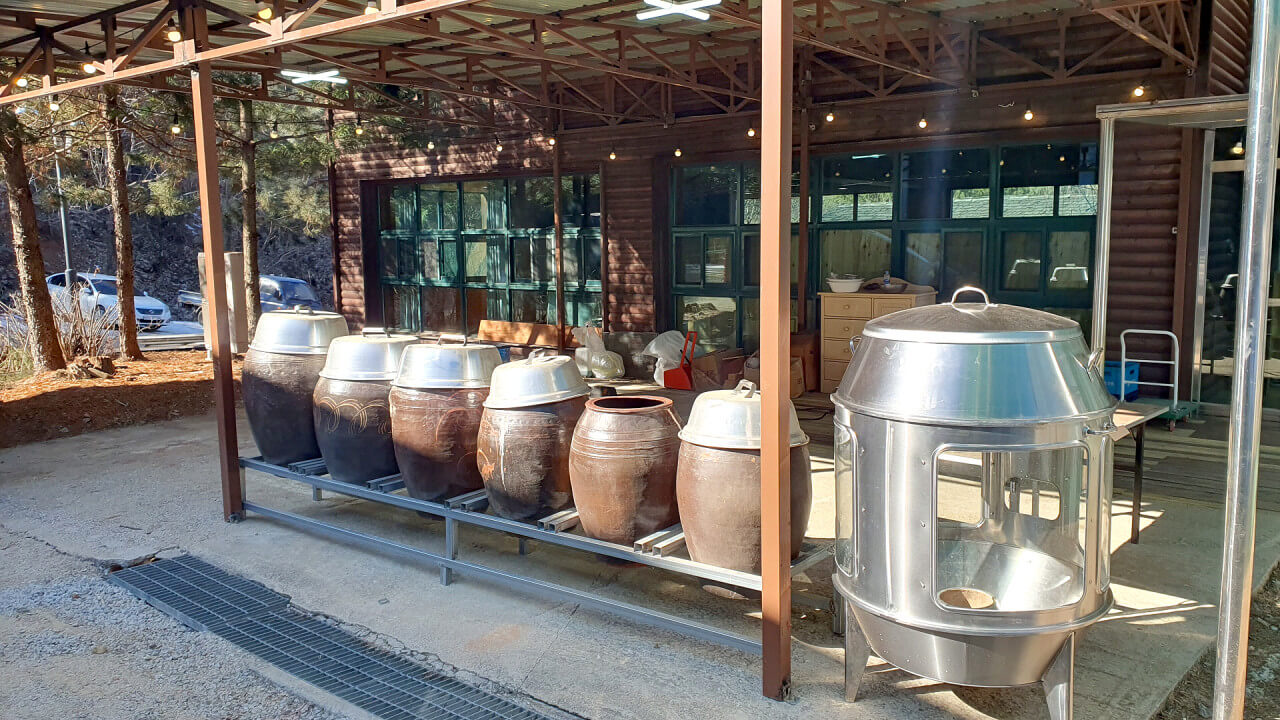 생생정보 2330회 스타의 고장 가수 박군의 경기도 양평군 맛집 양평솥뚜껑닭볶음탕과 양평메기수염축제 정보