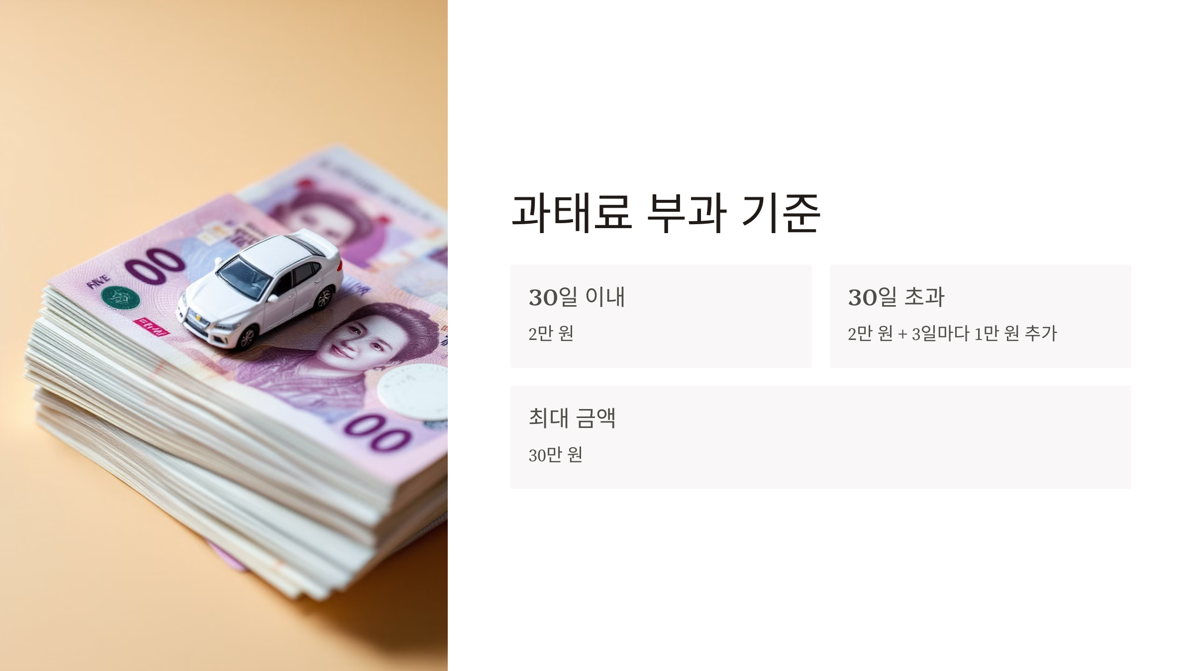 자동차 정기검사