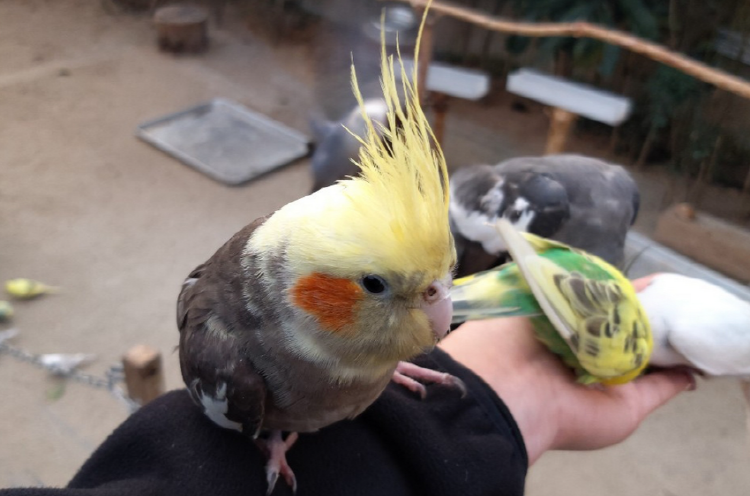 파주 퍼스트가든