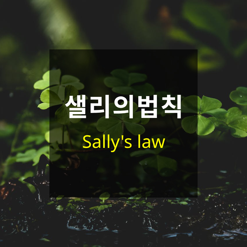 샐리의법칙