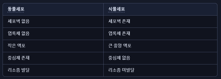 동물세포 식물세포 차이 비교