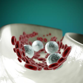 혈관 속 혈액과 콜레스테롤