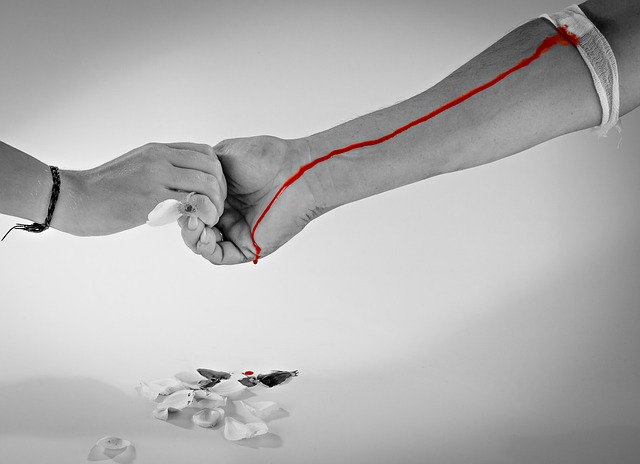 헌혈 몸무게 기준과 헌혈 전 꼭 알아야 할 사항